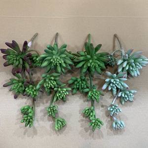 Di alta qualità sensazione di tocco reale naturale decorazione di colore grezzo finto succulenta pianta artificiale verde all'ingrosso ZR5028 - Product Image 3