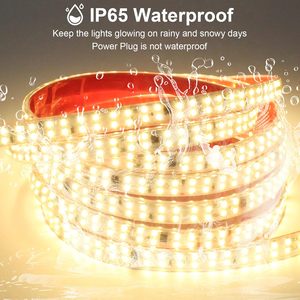 True IP68 impermeable natación LED tira DC12V 24V luces de cuerda al aire libre para piscinas iluminación subacuática - Product Image 3