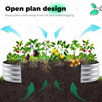 Grand kit de jardinières surélevées en acier galvanisé pour légumes, fleurs et herbes aromatiques