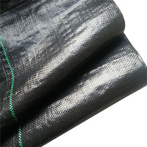 Cubierta de plástico negro para agricultura, cubierta antihierba - Product Image 5