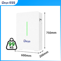 Batterie au lithium Deye 51,2 V 200 Ah 10,64 kWh RW-F10.6 certifiée CE/TUV, montage mural