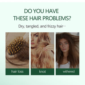 Kit de Soins Capillaires à l'Huile d'Arbre à Thé OEM : Shampoing, Après-Shampoing, Huile Essentielle, Traitement Anti-Pelliculaire et Contrôle du Sébum pour Cuir Chevelu Gras - Vente en Gros - Product Image 4