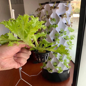 Hydroponic Tower Vertical Garden System Aeroponic Indoor <b>Plant</b> Grower PVC <b>Frame</b> High Rigidity Eco-Friendly Design 6 Months - Product Image 2