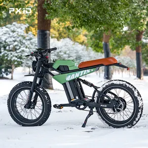 PXID MANTIS P6 Electric Fatbike 20 Inch 4.0 Inch Wide Wheel Fat Tire Ebike 750W 1000W 1200W Super Power Mountain Electric Bike