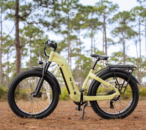 Vélo électrique pour adultes avec moteur à moyeu arrière, batterie Samsung 48V 20Ah, autonomie de 75 miles, frein à disque double - Vélo électrique noir - Product Image 1