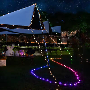 색상 변경 크리스마스 조명 방수 실내/실외 글로브 문자열 페어리 볼 반짝임 조명 IR 원격 APP USB 음악 동기화 - Product Image 4