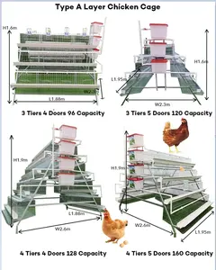 Прочное оборудование для птицеводства, клетка для куриного слоя, тип аккумуляторная клетка для системы кур-несушек, продажа