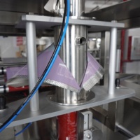 Machine de remplissage et d'emballage automatique multifonctionnelle pour poudre d'épices (curcuma, piment, curry) de 1000 grammes