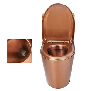 WC monobloc de luxe moderne en acier inoxydable, finition or rose, à double chasse, à poser au sol, avec siphon en S/P - Product Image 4