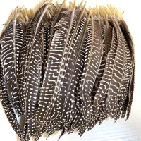 Plumes naturelles de 17 à 25 cm en gros, plumes d'ailes de poulet de Guinée, plumes de coq, plumes de pointe, plumes de plumeau pour décorations de mode