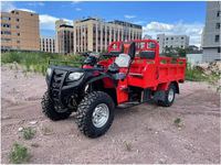 Quad 300CC 4x4 tout-terrain pour adultes, véhicule agricole, buggy des dunes, modèle de moto tout-terrain