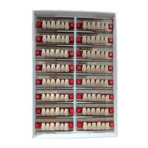 Materiale in Resina Sintetica Dentale per Protesi Complete a Due Strati con Certificazione CE, Protesi in Resina Acrilica - Product Image 3