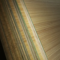Contrachapado de Abedul y Tilo con Película Protectora EN45545, 300x300mm, 3MM, Núcleo Combinado de Álamo, Uso Interior, E0 Formaldehído, CNC Láser, para Sala de Estar