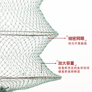 Cesta de pesca de acero inoxidable con anillos múltiples, plegable, con hilo de goma verde, red de pesca de agua dulce, equipo de pesca de fondo - Product Image 2