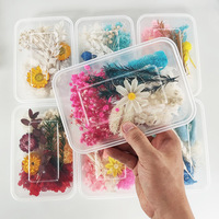 Boîte de matériaux DIY avec fleurs séchées naturelles longue durée pour la création de bijoux en résine et la décoration de coques de téléphone