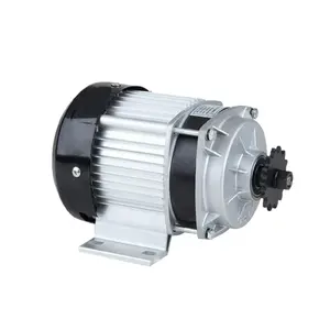 Chinese Supplier 700W Bldc Motor 48V 60V