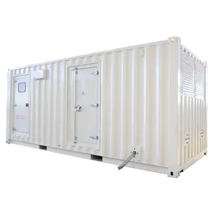 Generator unit piston gas turbin Gas, mesin industri alami 500kw 600KW 800KW 900KW 1000KW bertenaga oleh baudou jichai