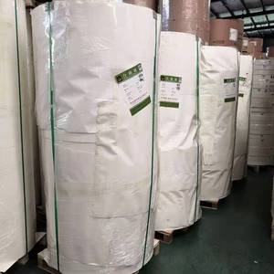 Fabricants en gros de rouleaux de fonds de gobelets en papier et de fonds de bols en papier enduits de PE, 230 g/m², 260 g/m², 280 g/m² - Product Image 5