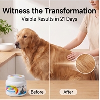 Complément alimentaire liquide à base de lécithine d'huile de saumon naturelle pour chats et chiens, formule avancée pour favoriser la santé de la peau et du système immunitaire, absorption rapide