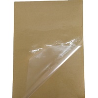 Indéchirable auto-adhésif Transparent clair PVC vinyle A3 A4 papier autocollant Film autocollants pour verre