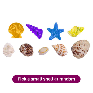 Kit de Excavación de Conchas Marinas JY Ocean <span class=keywords><strong>Star</strong></span>, Juguete de Excavación Arqueológica con Herramientas, Juguete Educativo de Ciencia para Niños, Juego de Exploración - Product Image 4