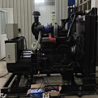 Groupe électrogène GPL propane 250 kVA de haute qualité, excitation sans balais, refroidissement par eau, démarrage électrique 24 V, 50/60 Hz, triphasé, industriel