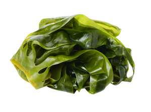 Stock <strong>Seaweed</strong> <strong>Extract</strong> Laminaria Japonica <strong>Kelp</strong> <strong>Extract</strong> 10% Fucoxanthin - Product Image 3