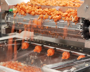 Dây chuyền sản xuất cà rốt xay nhuyễn Chất lượng cao để xử lý hiệu quả, tự động và vệ sinh - Product Image 4