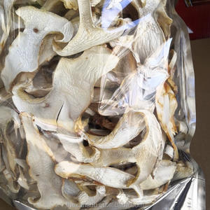 Hongo Blanco Seco <span class=keywords><strong>Tricholoma</strong></span> <span class=keywords><strong>Matsutake</strong></span> (Song Rong) Silvestre 5A de Yunnan para Cocinar/Tintura, Paquete a Granel - Product Image 4