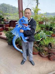 EW Ttechnical erial aterial vie ovie Jumpsuit ababy ininosaur ostinosaur Costume Suits arty ururassic ororld nnflatable inosaur - Product Image 6
