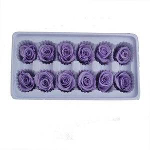Mucho tiempo rosas de 3-4 cm Natural <span class=keywords><strong>y</strong></span> rosas para el Día de San Valentín - Product Image 1