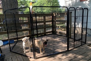 Heavy Duty Outdoor Metal <strong>Dog</strong> <strong>Cage</strong> Strong Carbon Steel Kennel with Rail Fence Home Farm Fence Posts Pressure Treated Wood Nature - Product Image 4