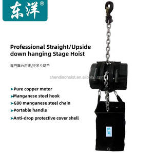 Desain Pabrik pencahayaan panggung <span class=keywords><strong>Hoist</strong></span> Truss <span class=keywords><strong>Hoist</strong></span> kekuatan tinggi berputar Hook panggung <span class=keywords><strong>Electric</strong></span> <span class=keywords><strong>Hoist</strong></span> - Product Image 2
