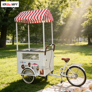 Carrito de Helados de Fibra de Vidrio con Logotipo Personalizado, Aprobado por CE y NSF, para Eventos al Aire Libre en Australia, 1 Año de Garantía - Product Image 3