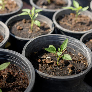 Plantas <span class=keywords><strong>de</strong></span> jardín <span class=keywords><strong>desechables</strong></span> crecen maceta negra 1 3 5 7 galones pequeñas <span class=keywords><strong>macetas</strong></span> <span class=keywords><strong>de</strong></span> vivero <span class=keywords><strong>macetas</strong></span> <span class=keywords><strong>de</strong></span> plástico para vivero - Product Image 4