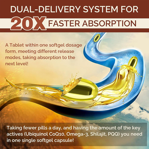 Soutien OEM/ODM – Nouvelle Formule : Huile de Poisson Oméga-3 Bio Naturelle COQ10 pour la Santé Cardiaque et Cérébrale des Adultes, Gélules Molles aux Extraits de Shilajit pour la Gestion de l'Énergie - Product Image 2