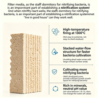 Brique de culture bio premium en gypse fritté, support filtrant poreux pour aquarium, bac à poissons, filtre externe, bassin, eau douce et marine