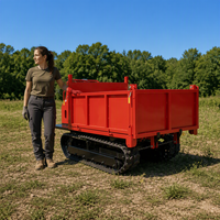 Transporteur sur chenilles diesel de qualité supérieure, auto-chargeur, puissance personnalisée pour le transport en carrière en Malaisie