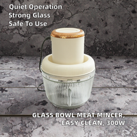 Mini hachoir à viande électrique 300W, portable, pour usage domestique, camping-car, acier inoxydable, lame en forme de S à quatre feuilles, moteur en cuivre, verre