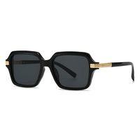 Lunettes de soleil OEM S162040 en gros, classiques, rétro, tendance, de créateur, personnalisées pour femmes et hommes, avec verres UV400 et monture PC