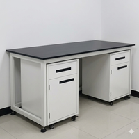 Mesa de Laboratorio con Estructura de Acero Simple y Gabinete Móvil con Base, Superficie de Resina Fenólica, Mesa de Laboratorio Anticorrosiva, Tamaño Personalizado