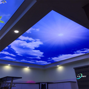 Proyecto Fácil Instalación Decoración del hogar Construcción Led <span class=keywords><strong>Cielo</strong></span> Suspendido Azulejos de techo falso - Product Image 6
