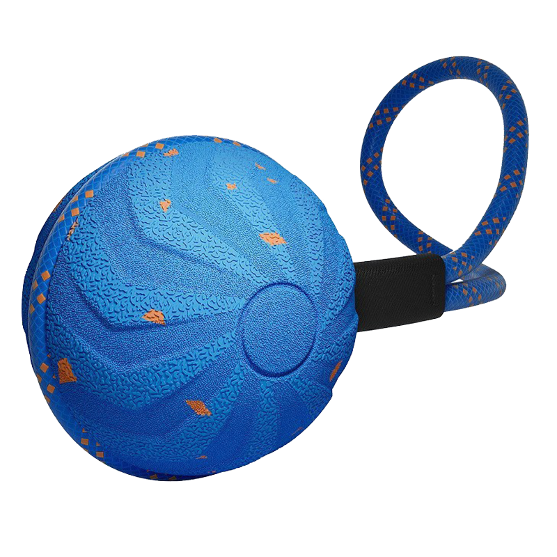 ลูกบอลสุนัขแบบอินเทอร์แอคทีฟ T03 - สีฟ้า