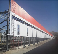 Almacén Prefabricado de Estructura de Acero Ligero de Bajo Costo, Diseño Personalizado de Taller y Nave Industrial con Construcción Metálica