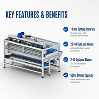 Wanlisonic Nouvelle Machine à découper les aliments ultrasonique électrique 220V haute productivité pour trancher le pain de mie