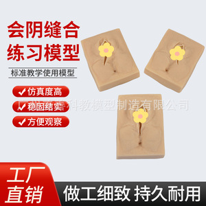 Modèle de pratique de suture vulvaire pour la spécialité d'obstétrique et gynécologie, module de formation aux compétences de suture périnéale, obstétrique et - Product Image 4