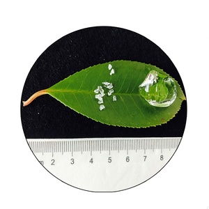 Agricoltura polimero Super assorbente potassio poliacrilato prodotto di grandi granuli Sap Water Gel <span class=keywords><strong>Crystal</strong></span> <span class=keywords><strong>Soil</strong></span> per uso agricolo - Product Image 2