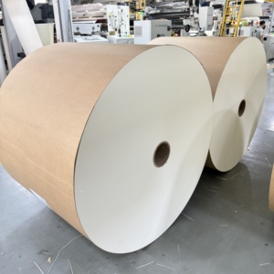 Rouleau de papier enduit PE à prix de gros, résistant à l'humidité, de qualité alimentaire, pour la fourniture de matières premières pour gobelets en papier - Product Image 6