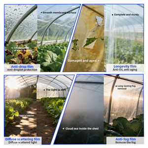 Rollo de Plástico Agrícola Personalizado de Doble Capa de 200 Micras, Material PE, Película para Invernadero Resistente a los Rayos UV y Anti-Goteo para Cultivo - Product Image 2