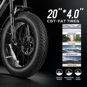 Eahora Terra 48V 250W Bicicleta Eléctrica Urbana de 22.4 Pulgadas con Batería de Largo Alcance de 15Ah y Cuadro de Acero - Venta al por Mayor desde China - Product Image 2